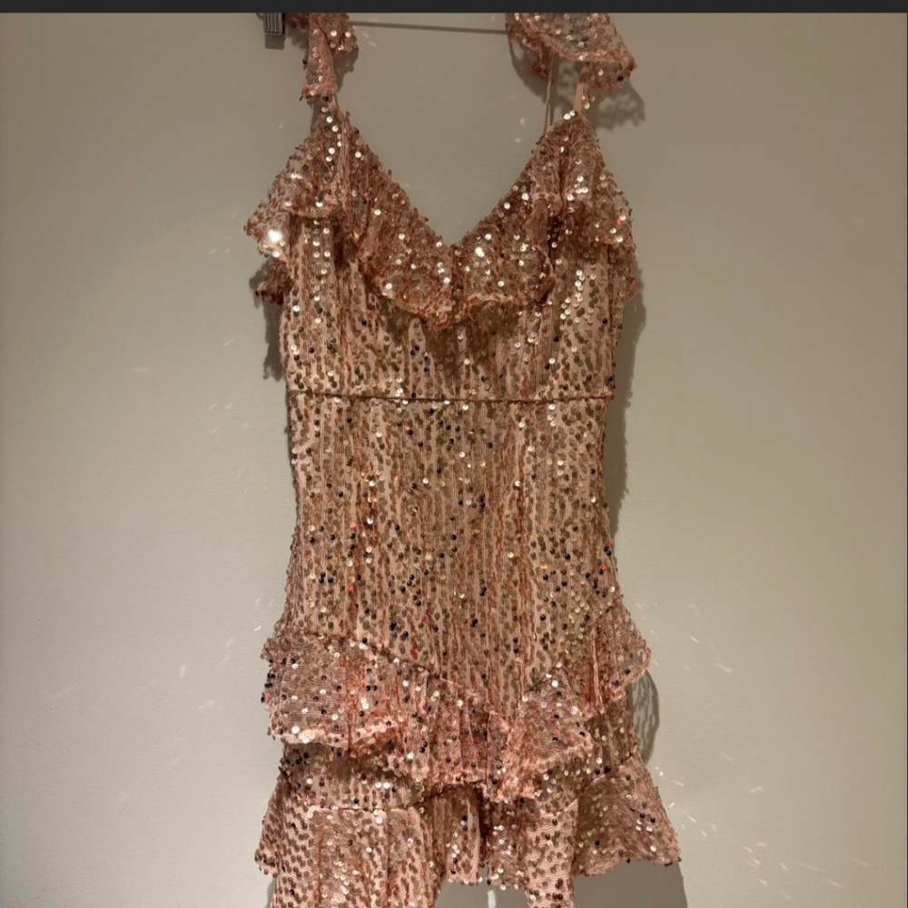 SELFIE LESLIE ROSE RUFFLE DRESS sz M - Picture 3 of 4